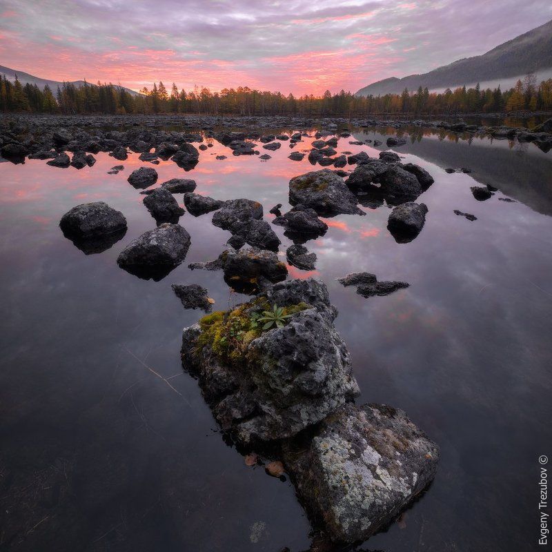 лава, рассвет, камни, тучи, облака, озеро, мох, лес, осень, бурятия Каменный цветокphoto preview