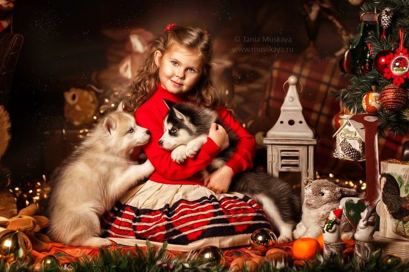 Перед рождествомphoto preview