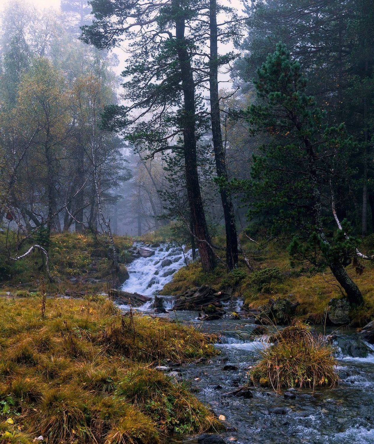 ***. Автор: Олег Скан , Олег Скан
