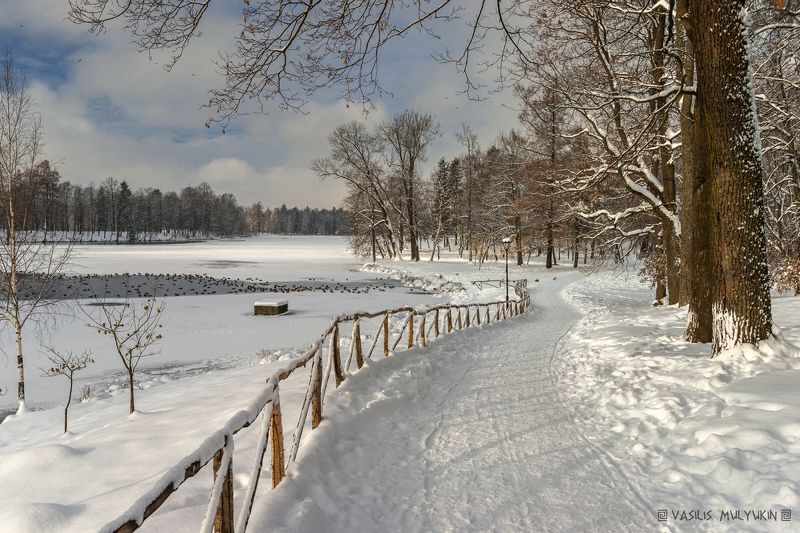 В Гатчинском паркеphoto preview