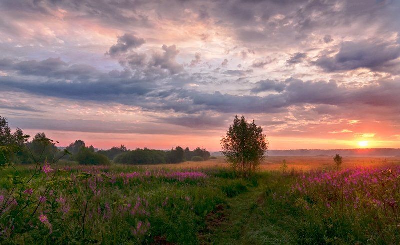 Утро в Сельцеphoto preview