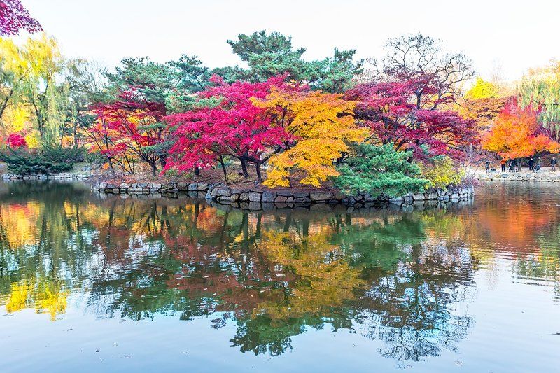 Colorfulphoto preview