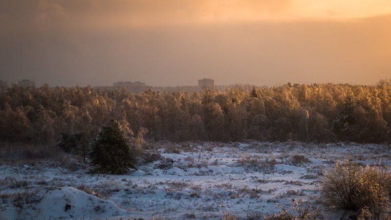 Lumix, Зима, Природа, Снег, Солнце, Фото Дубна Луч солнца золотого.photo preview