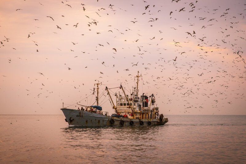 Бризphoto preview