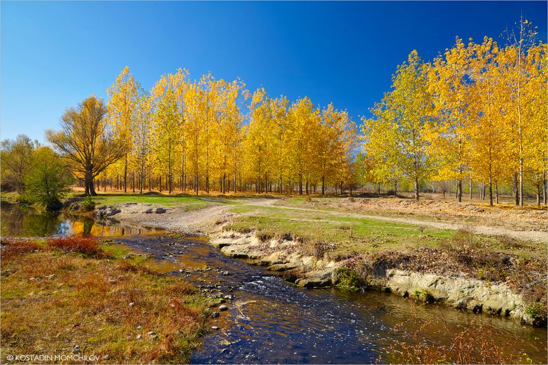 Near Mechka Riverphoto preview