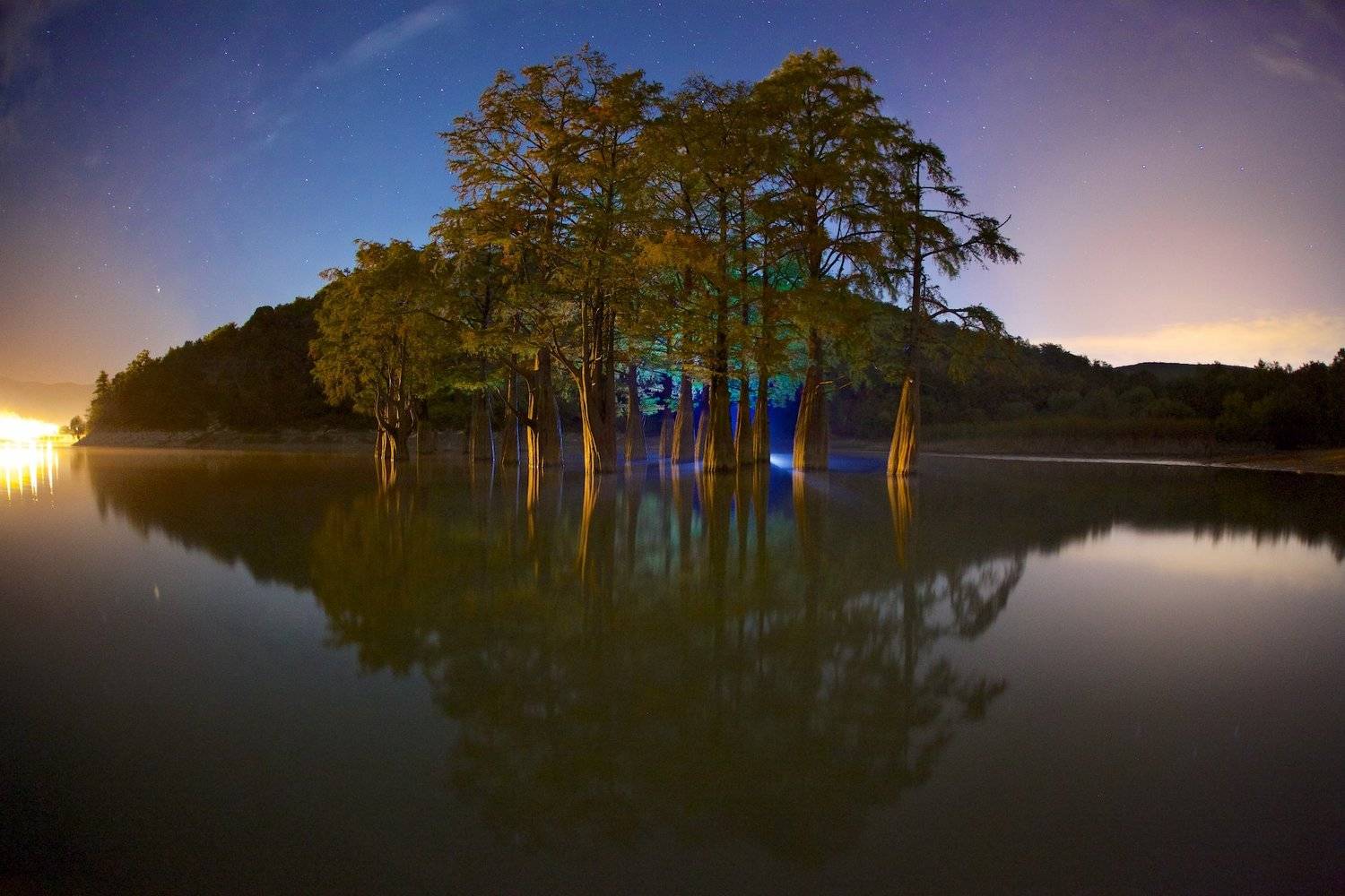 Сон исполинов. Автор: Никифоров Егор роща болотных кипарисов поселок сукко краснодарский край , Никифоров Егор