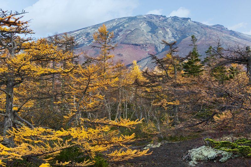 япония, осень, фудзи, фудзияма, вулкан Фудзияма в осеннем обрамленииphoto preview