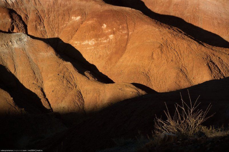 Долина, ручей, Кызыл-Чин, Алтай, россия, рыжий, песок, пустыня, куст, саксаул, засуха, тень, черный, жизнь, смерть, Марсианские хроники, или про жизнь на Марсе фото превью