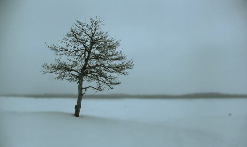 югра зимний минимализмphoto preview