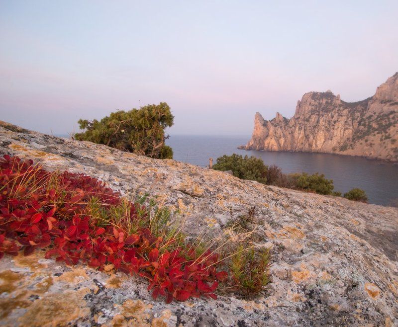 крым, море, горы, свет, закат, рассвет, природа, осень Этюд со скумпиейphoto preview