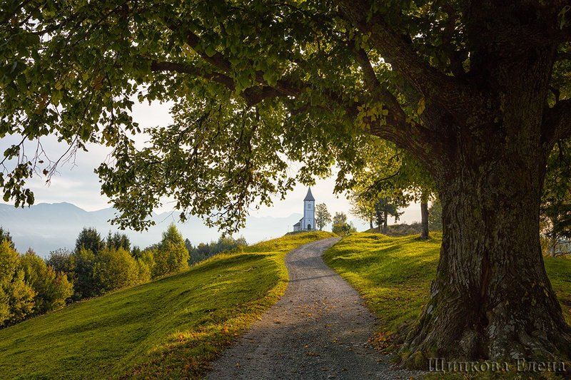 Ямник, Словенияphoto preview