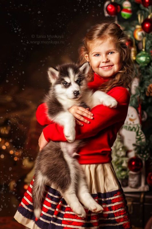 Перед рождествомphoto preview