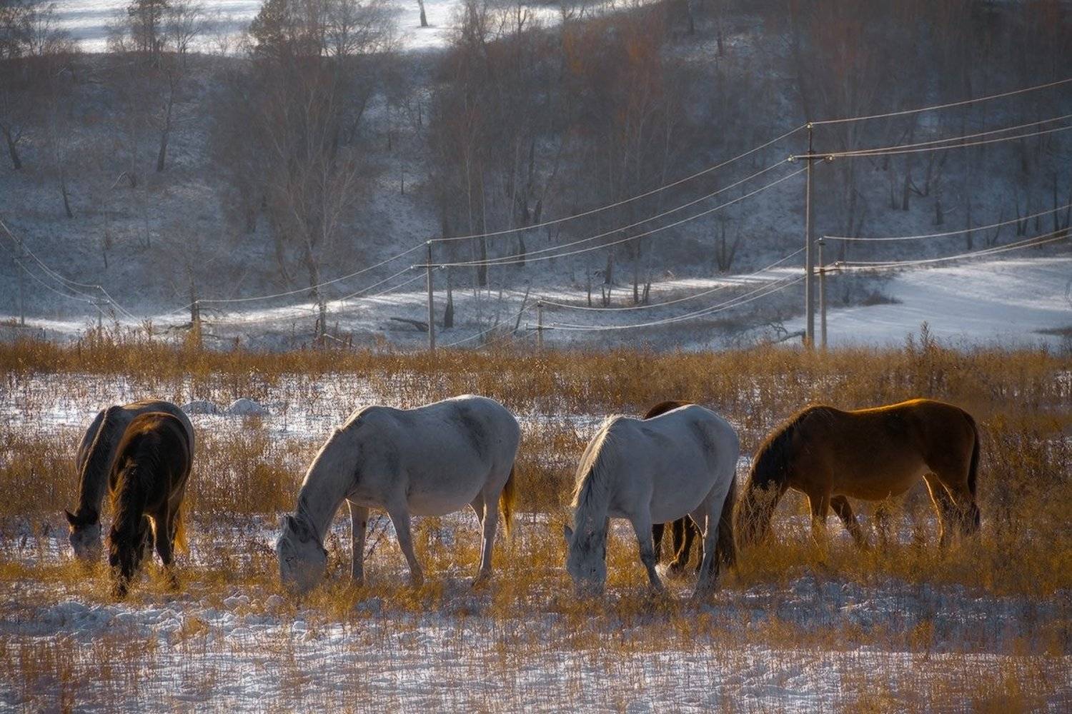 Ещё тёплые дни. Автор: Николай Морский , Николай Морский