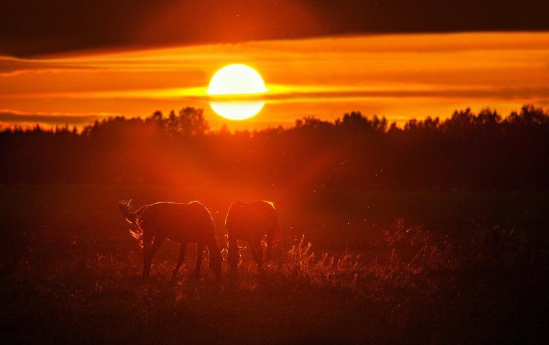 Закат для двоихphoto preview