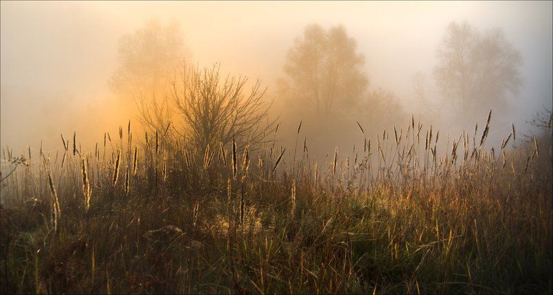 Утроphoto preview