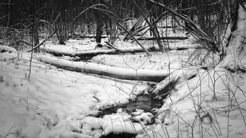 Вниз по течению...photo preview