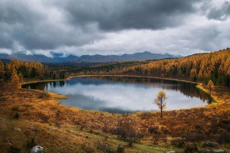 История трёх кадровphoto preview