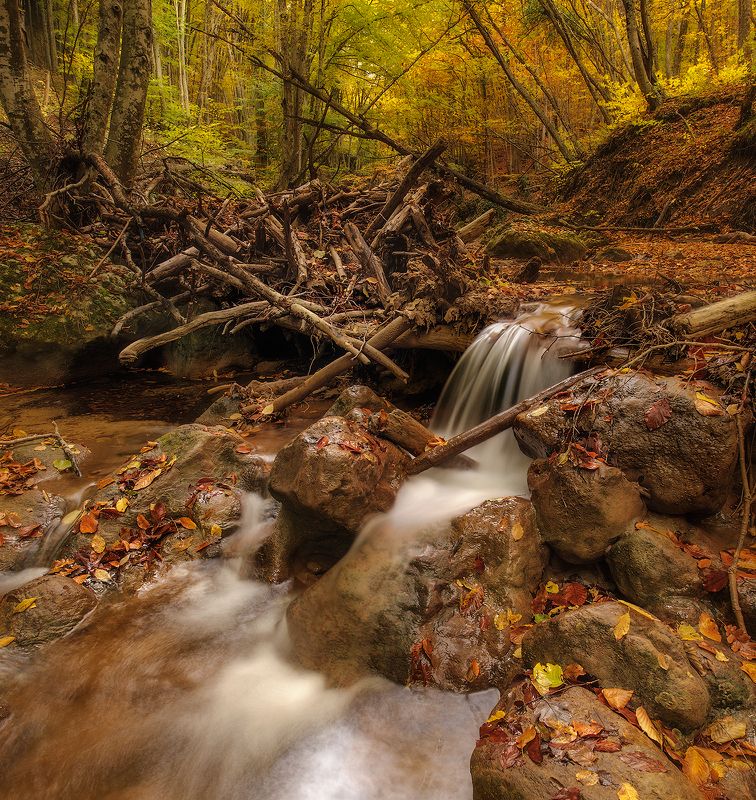 река. осень. лес. пейзаж. nikon. Осень в большом каньоне Крыма 2016г.photo preview