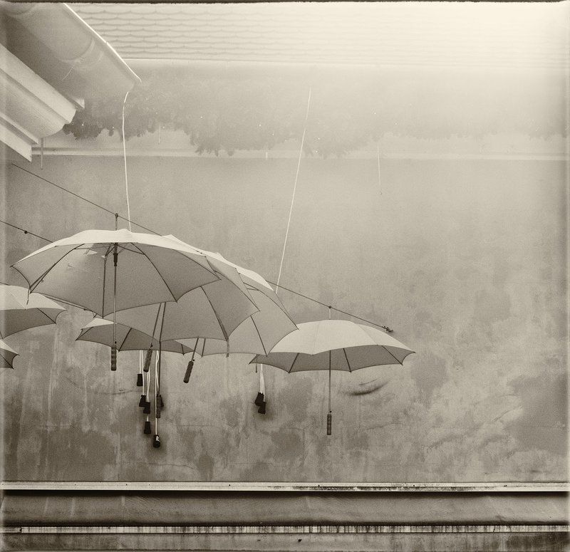 When You Want The Skyphoto preview