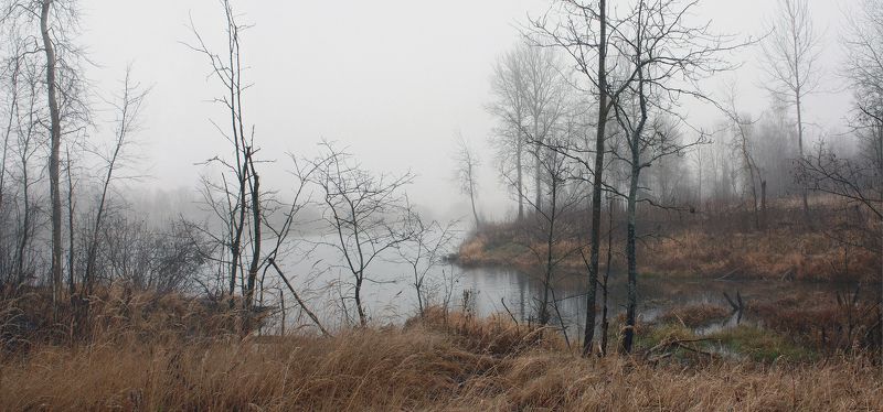 осень, туман , ноябрь Русский пейзаж )photo preview