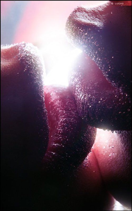 Shades Of Purple © фото превью