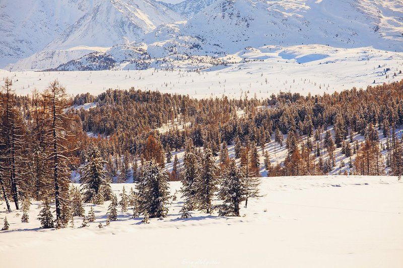 озеро, Киделю, Республика, Алтай, Улаганский, район, перевал, ноябрь, зима, снег Киделюphoto preview