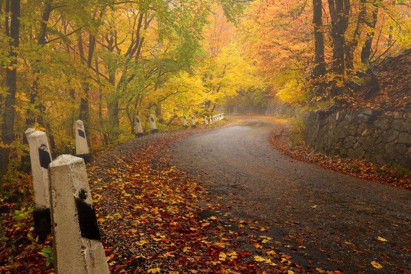 Зима за поворотом...photo preview