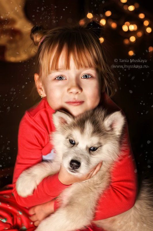 Перед рождествомphoto preview