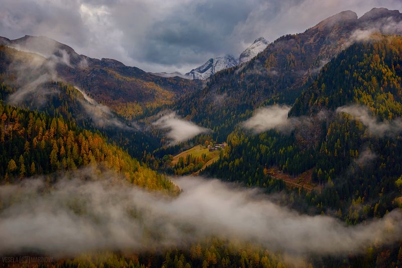 Лес покрыт одеяломphoto preview