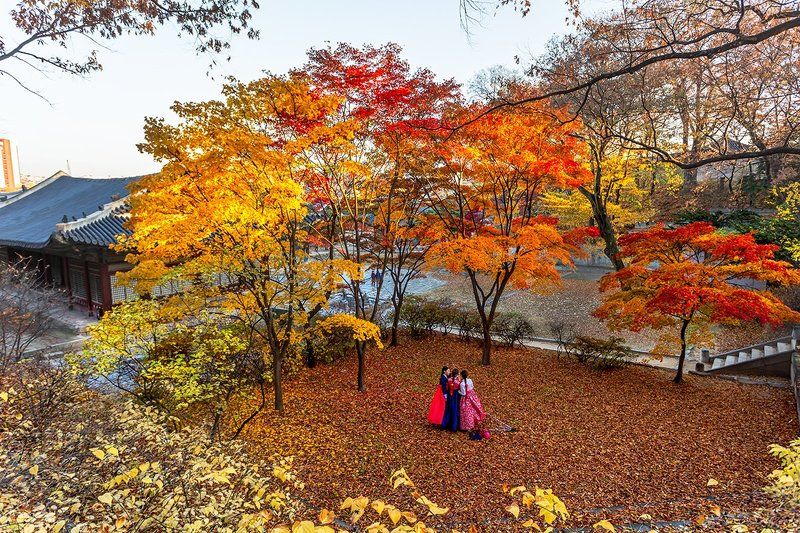 Leaves the seaphoto preview