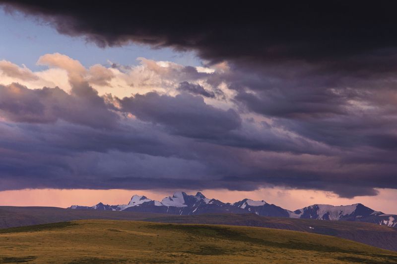 укок лиловый вечерphoto preview