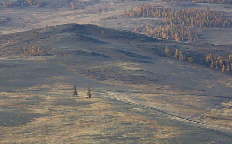 утренняя пастельphoto preview