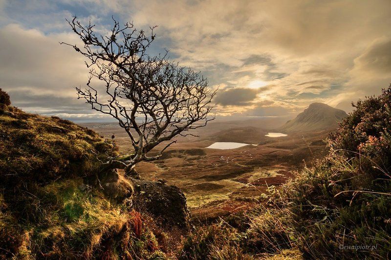 Scotland, Skye, Quiraing Mountains, sunrise Sunrise in Quiraing Mountainsphoto preview