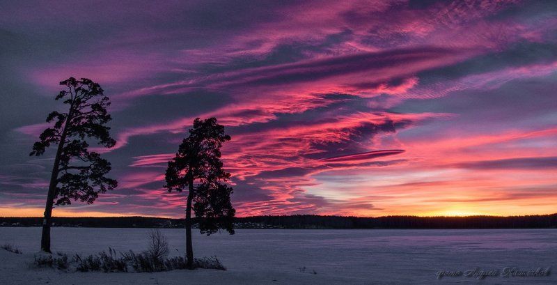 Пожар в джунглях Уралаphoto preview