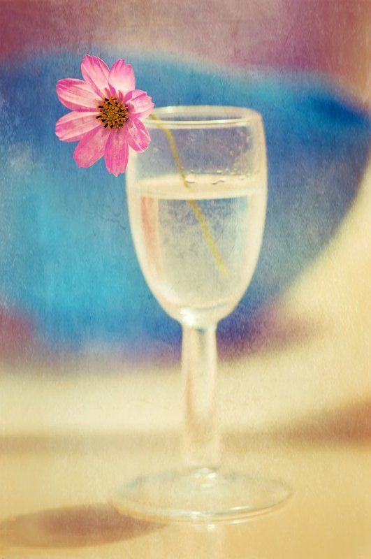 про одинокую космейкуphoto preview