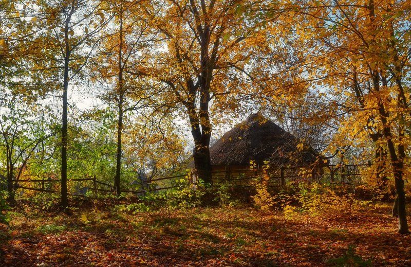 Художница-осеньphoto preview