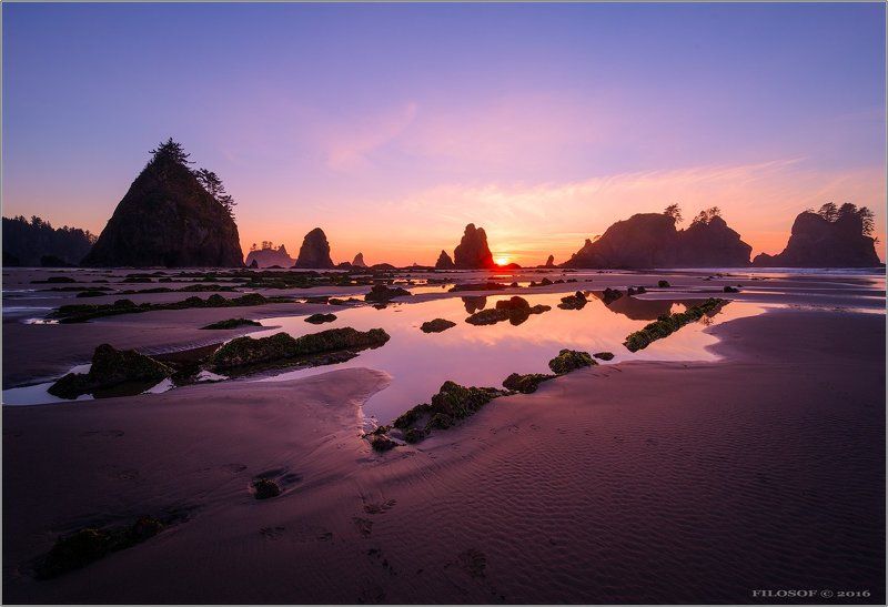 США, НП Олимпия. Побережье Тихого Океана.photo preview