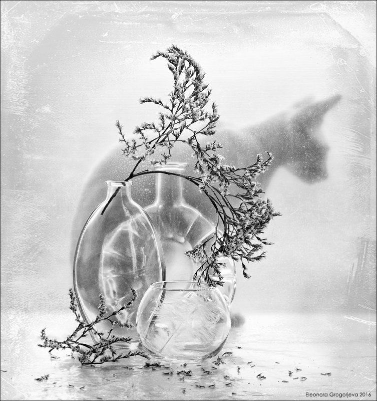 Завиткиphoto preview