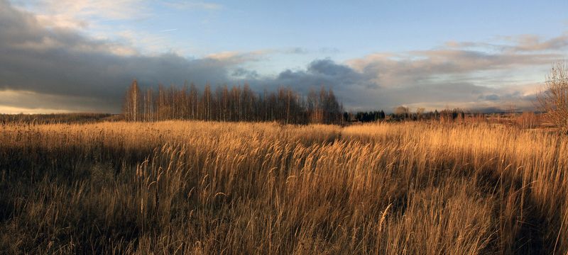 осень Русский пейзаж )photo preview