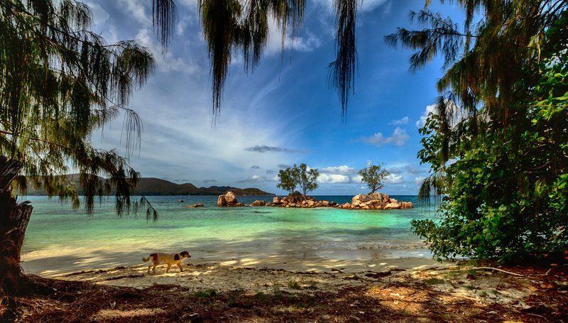 На островах, затерянных в океанеphoto preview