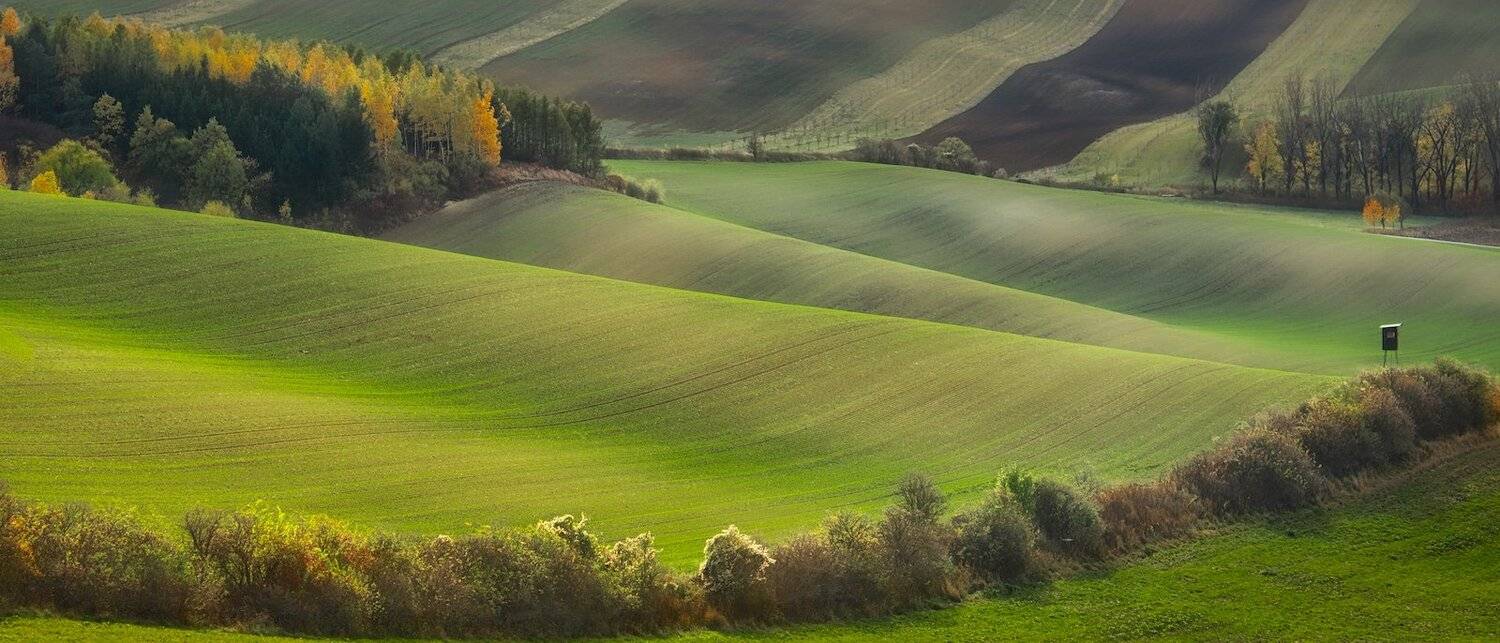 Twist. Автор: Эдуард Горобец , Эдуард Горобец