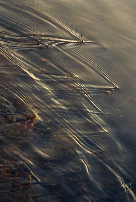 течение, ручьи, весна Течениеphoto preview