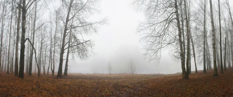 осень , туман Ноябрь )photo preview