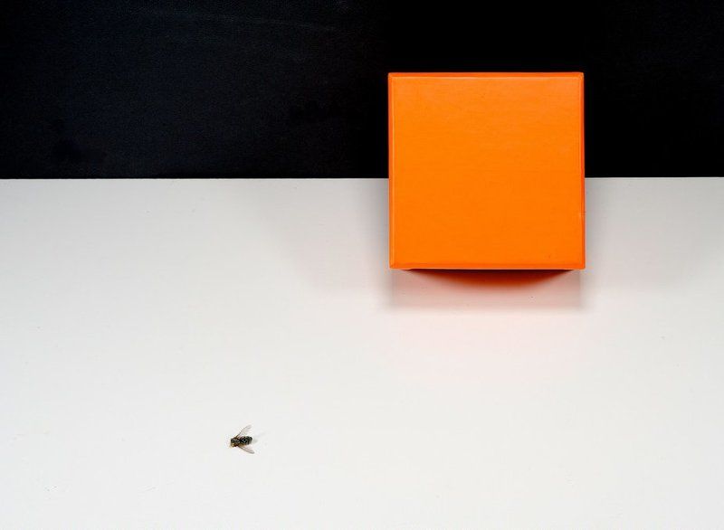 формула ломброзо, натюрморт, still life Формула Ломброзоphoto preview