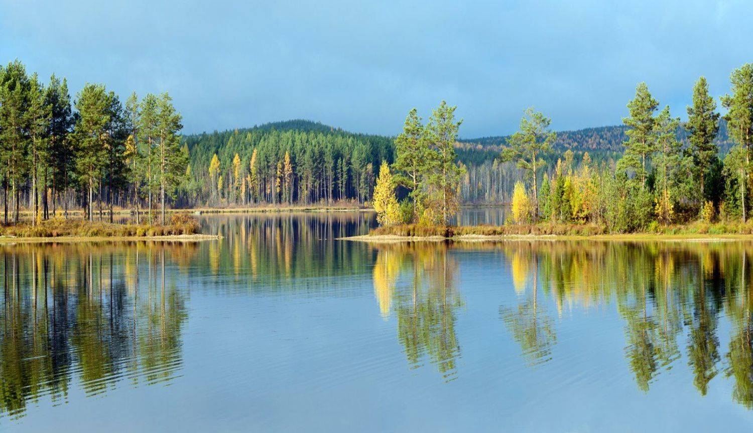 , Воинков Виктор