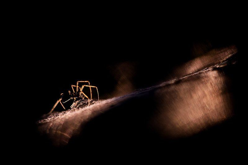 Фобияphoto preview