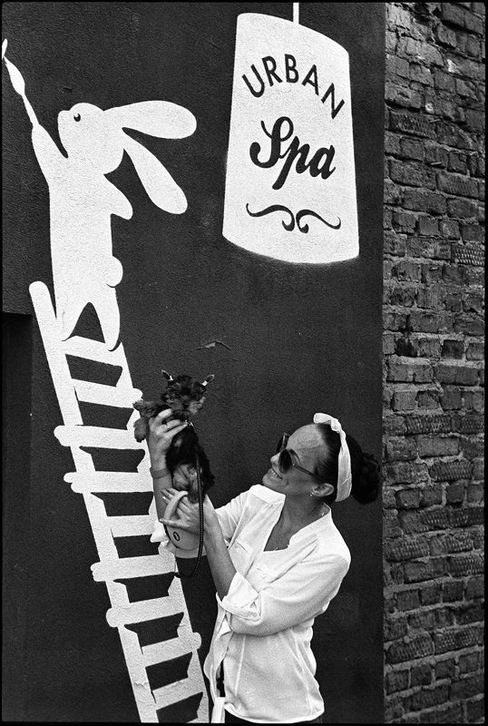 life ***photo preview