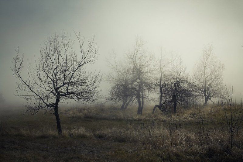 крым, горы, туман, мистика, облако, яйла, ай-петри, сад Туман на яйлеphoto preview