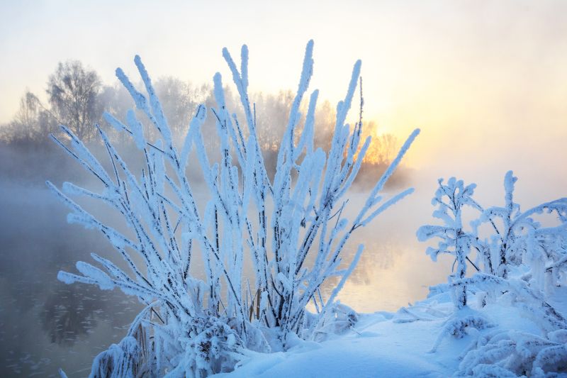 среднеуральск, урал, средний урал, река, зима, рассвет, закат Морозное утроphoto preview
