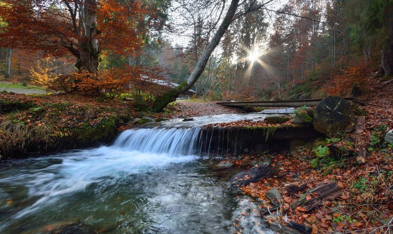 боржава, карпаты, карпати, пилипець, шипот Мелодии октябряphoto preview